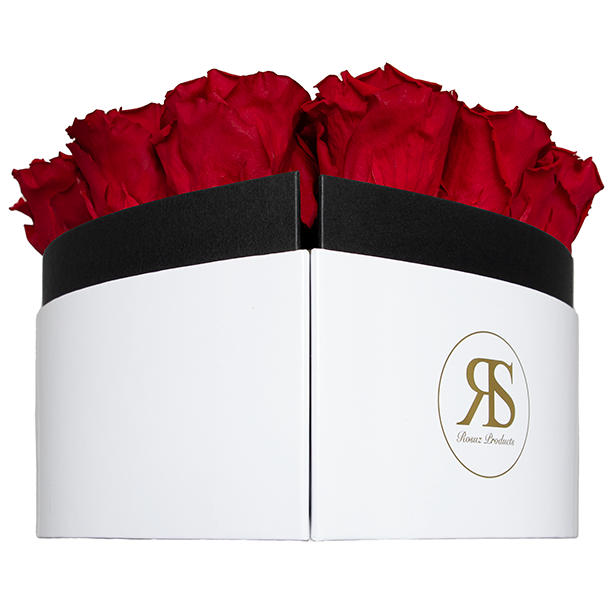 Flowerbox longlife Lana rood - Rosuz