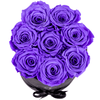 Flowerbox longlife Gigi paars - Rosuz