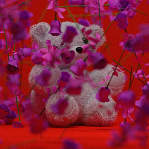 Valentijn Rozenbeer - Rosuz