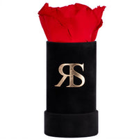 Flowerbox longlife Ivy I love you rood