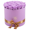 Flowerbox longlife Aaliyah violet - Rsouz