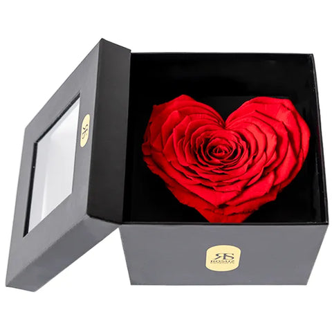 wat geef je iemand die nog kort te leven heeft 1