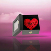 Longlife Rozenhartje rood in box - Rosuz