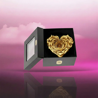 Longlife Rozenhartje goud in box Rosuz