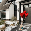Verrassingsmoment aan huis all - Rosuz