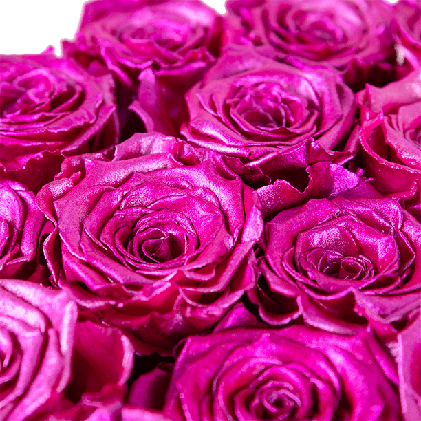 Metallic roze rozen