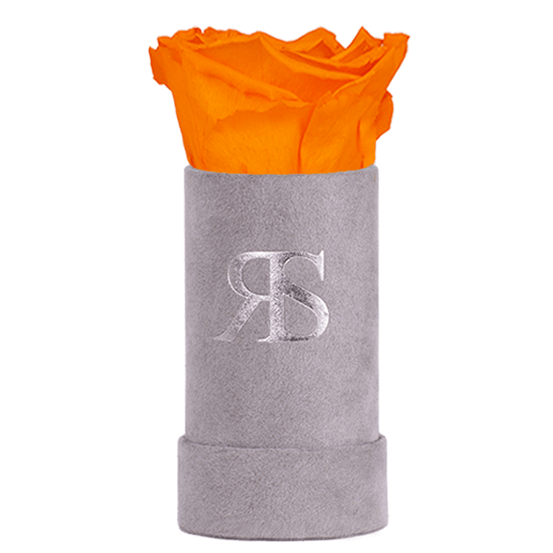 Oranje longlife roos in grijze velvet verpakking