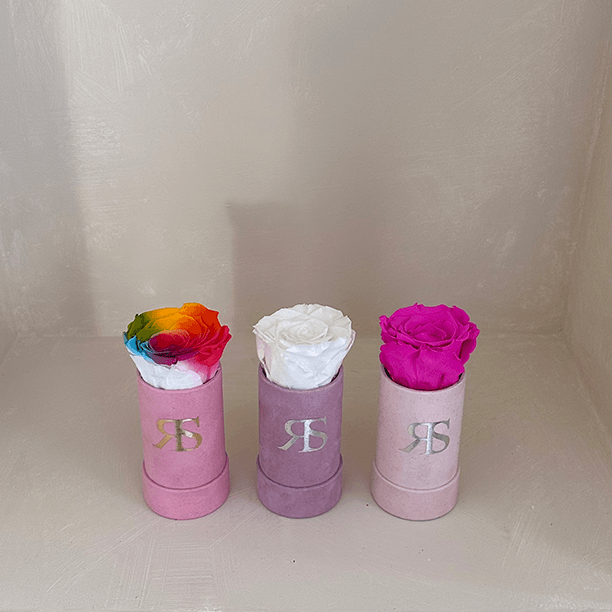 3 Flowerboxen Ivy collectie