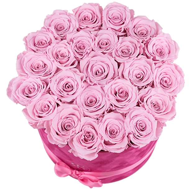 Flowerbox Suzy met lichtroze longlife rozen