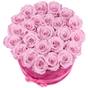 Flowerbox Suzy met lichtroze longlife rozen