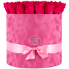 Flowerbox longlife Suzy donker roze