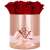 Flowerbox longlife Zara rood