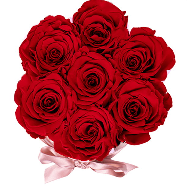 Flowerbox longlife Zara rood bovenkant