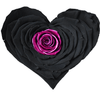 Longlife Rozenhartje zwart met roze