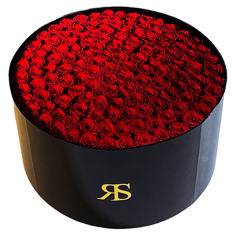 RS luxury box Leonare - Rosuz